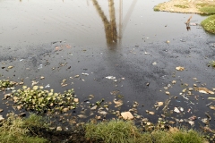 Black River (Yamuna rivier) - Majnu Ka Tilla  - Delhi (16 juni 2018)