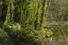 Vondelpark, Amsterdam