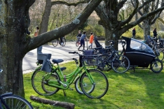 Vondelpark, Amsterdam