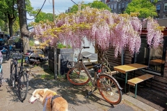 Jacok van Lennepkade - Oud-West (19 mei 2023)