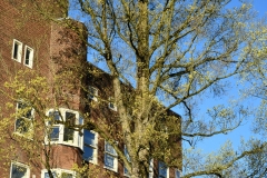 Baarsjesweg, De Baarsjes, Amsterdam