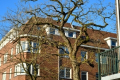 Baarsjesweg, De Baarsjes, Amsterdam