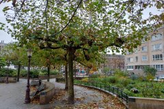 Nicolaas Beetsplantsoen - Oud-West, Amsterdam (14 november 2023)