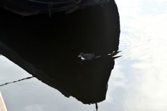 Jacob van Lennepkade, -kanaal - Oud-West, Amsterdam (26 juni 2022)