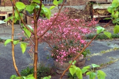 Jeltje de Bosch Kemperpad, Helmersbuurt, Oud-West, Amsterdam