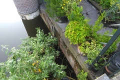 Nicolaas Beetsstraat, Hennetjesbrug, Jacob van Lennepkanaal, Borgerbuurt, Amsterdam (19.06.2020)