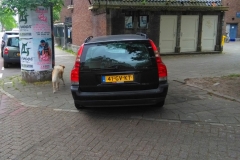 Stoepridder - Nicolaas Beetsstraat, Arie Biemondstraat (19-5-2018)