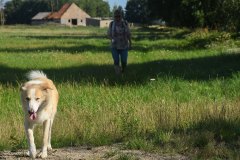 Biosphärenreservat Drömling - Sachsen-Anhalt, Oost-Duitsland  (20 augustus 2023)