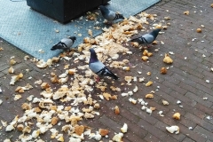 Geef ons heden ons dagelijks brood - Ten Katestraat (20-5-2018)