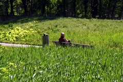 Rembrandtpark, Overtoomse Veld, Amsterdam