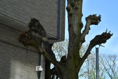 Huygens College - Tweede Constantijn Huygensstraat, Amsterdam (21-4-2022)