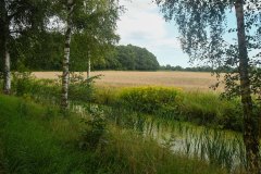 Biosphärenreservat Drömling - Sachsen-Anhalt, Oost-Duitsland (21 augustus 2023)