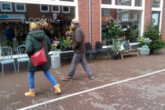 Ten Katestraat - Blooming (12-12-2018)