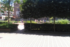 WG-plein, WG-terrein, Amsterdam (22.06.2020)