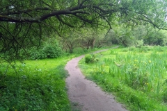 Park de Oeverlanden, Amsterdam (22.05.2020)