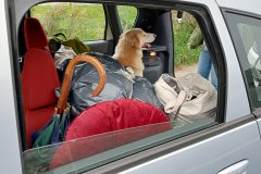 Onderweg van Osnabrück (Duitsland) naar Amsterdam (24 augustus 2023