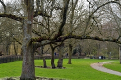 Vondelpark, Amsterdam