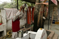 Chandigarh - Sector 41 - Shri Durga Mandir