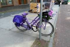 Kwakersstraat (25-9-2018)