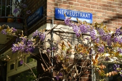 Westindische buurt, De Baarsjes (26-4-2022)