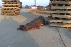 Chandigarh - Sector 39 - Grain Market