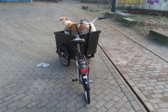 Havenstraat - Amsterdam