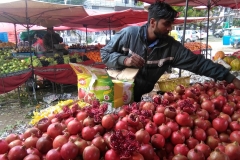 Chandigarh - Sector 40 - Woensdag markt