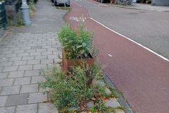 Nicolaas Beetsstraat - Oud-West, Amsterdam (30 september 2023)