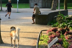 Vondelpark (28-5-2018)