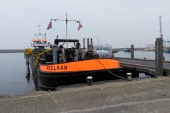 Dinah, in Harlingen, onderweg naar Amsterdam, na een verblijf van twee maanden bij hondenoppas Giulia in Friesland (29 augustus 2018)