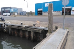 Dinah, in Harlingen, onderweg naar Amsterdam, na een verblijf van twee maanden bij hondenoppas Giulia in Friesland (29 augustus 2018)