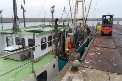 Dinah, in Harlingen, onderweg naar Amsterdam, na een verblijf van twee maanden bij hondenoppas Giulia in Friesland (29 augustus 2018)