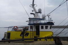 Dinah, in Harlingen, onderweg naar Amsterdam, na een verblijf van twee maanden bij hondenoppas Giulia in Friesland (29 augustus 2018)