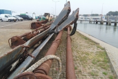 Dinah, in Harlingen, onderweg naar Amsterdam, na een verblijf van twee maanden bij hondenoppas Giulia in Friesland (29 augustus 2018)