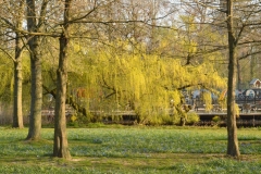 Vondelpark, Amsterdam