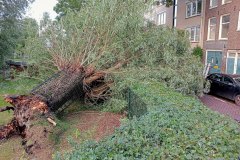 Zimmerhoeve - Oud-West, Amsterdam (5 juli 2023)