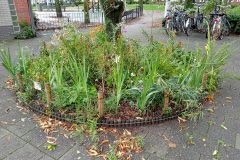 Columbusplein - Hoofdweg en omgeving, Amsterdam (3 augustus 2023)