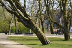 Vondelpark, Willemspark, Amsterdam