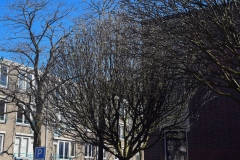 Borgerstraat/Schoolmeesterstraat - Oud-West (3 april 2023)