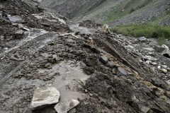 Road to Rangdum - Suru Valley, Ladakh (30-6-2018)