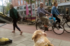 Jan Pieter Heijestraat (30-9-2018)