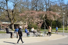 Vondelpark, Amsterrdam