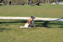 Vondelpark, Amsterrdam