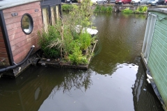 5 Juni 2020 - Drijvende tuin - Bilderdijkgracht, Amsterdam (5-6-2020)