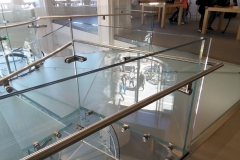 Apple Store (4-5-2018)