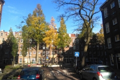 5 November 2020, Amsterdam - Jan Pieter Heijestraat, Hasebroekstraat, Oud-West