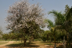 Chandigarh - Haryana Legislative Assembly en omgeving