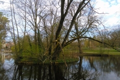 Vondelpark, Museumkwartier, Amsterdam