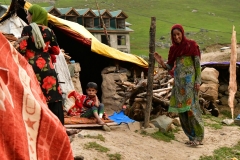 Gujjar nomaden - Sonamarg, Kashmir (3-9-2018)