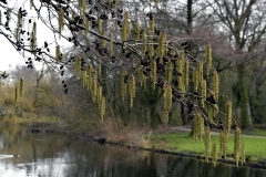 Vondelpark (6-1-2019)